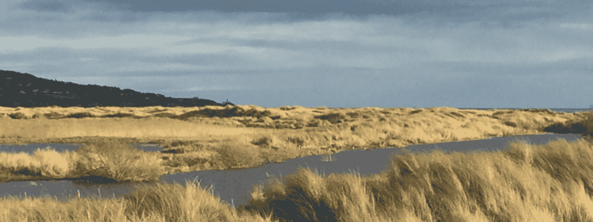 View of North Bull Island, Dublin